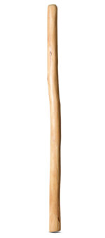 Medium Size Natural Finish Didgeridoo (TW1567)